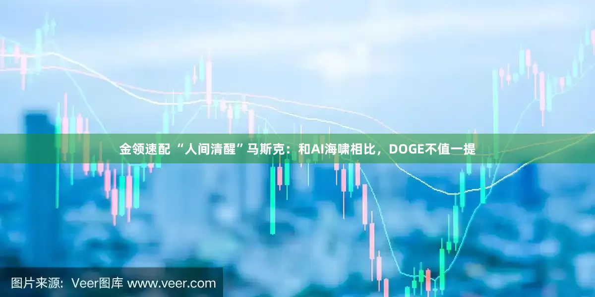 金领速配 “人间清醒”马斯克：和AI海啸相比，DOGE不值一提