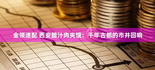 金领速配 西安腊汁肉夹馍：千年古都的市井回响
