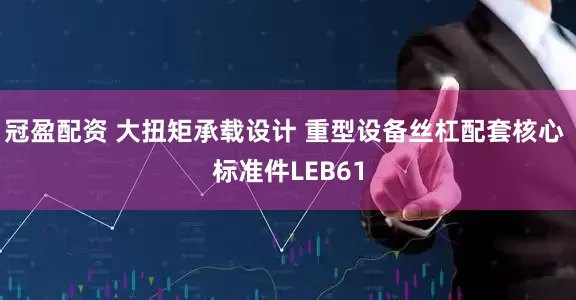 冠盈配资 大扭矩承载设计 重型设备丝杠配套核心 标准件LEB61