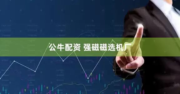 公牛配资 强磁磁选机厂